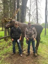 Two men are standing next to a moose statue in the woods.