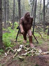 A statue of a bigfoot standing next to a pile of bones in the woods.