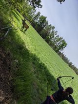 Archery shooting an arrow at a field target.