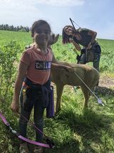Archer standing in front of a target