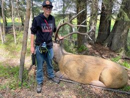A man is standing next to a large deer in the woods.