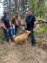 Three men are standing next to a dog in the woods.