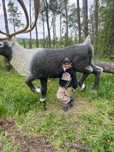 A little boy is standing next to a statue of a reindeer in the woods.