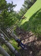 A person is laying on the ground next to a tree.