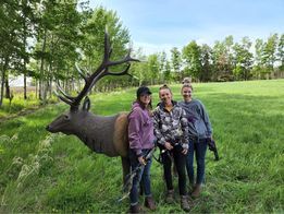 A group of people standing next to a statue of an elk in a field.