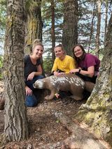 Three people are sitting next to a statue of a bear in the woods.