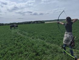 Archer shooting arrow at target