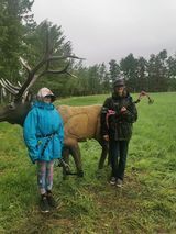 Two people are standing next to a statue of an elk in a field.
