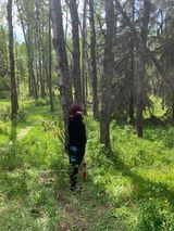 A person is standing in the middle of a forest.