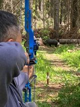 Archer shooting arrow at target