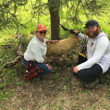 A man and a woman are kneeling next to a deer in the woods.