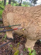 A statue of a lion with three arrows in its mouth.