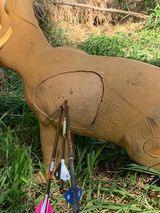 A deer target with arrows attached to it is sitting in the grass.