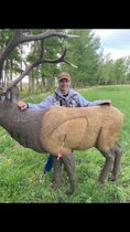 A man is standing next to a deer statue in a field.