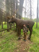 A boy is standing next to a moose statue in the woods.