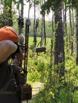 Man shooting arrow at target