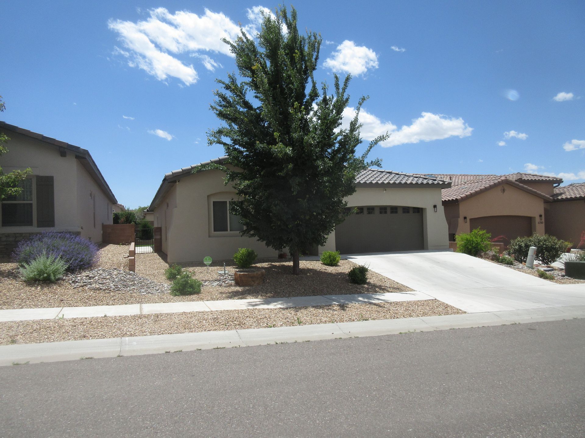 A house with a garage and a tree in front of it