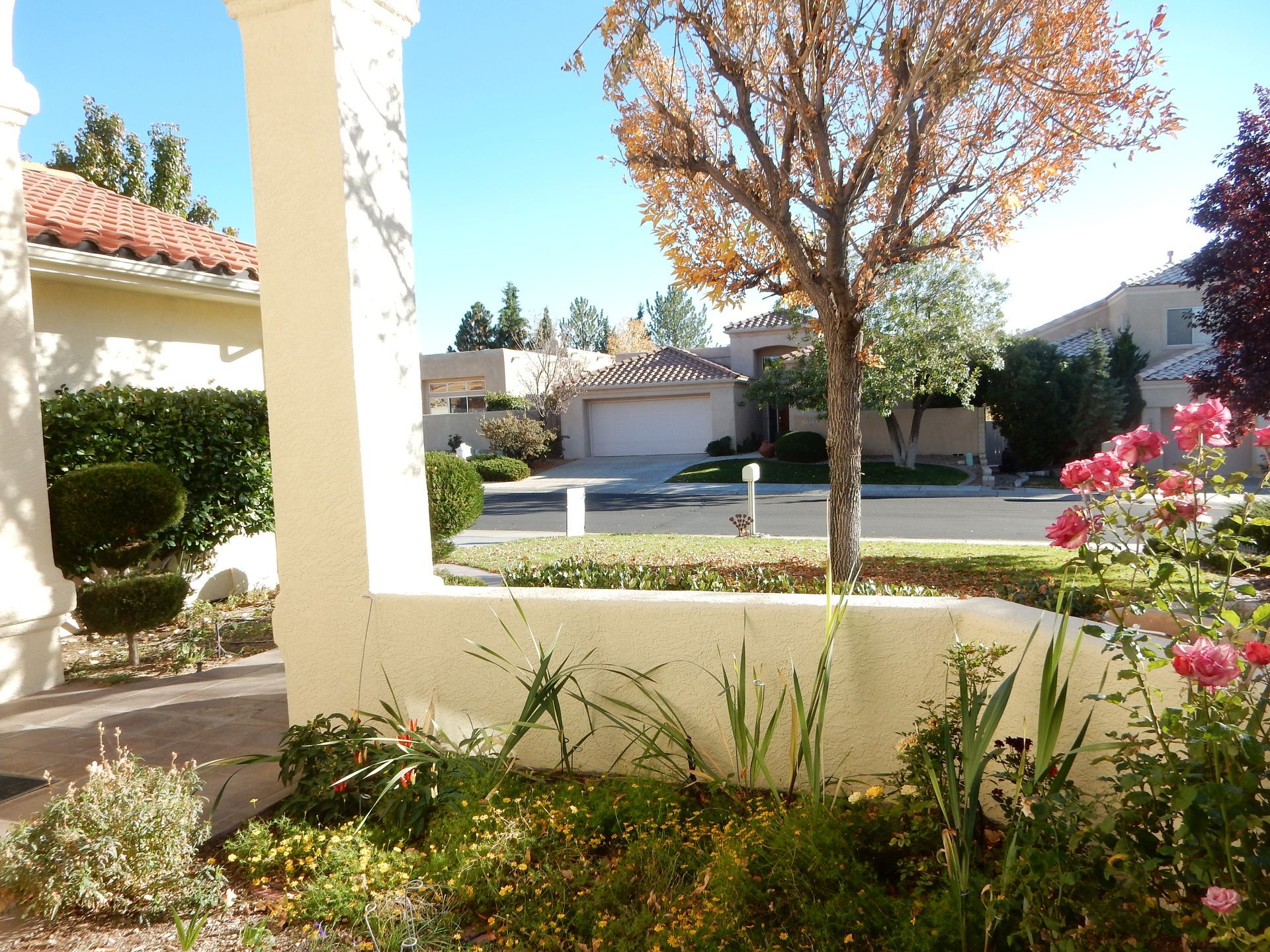A house with a white garage door and a tree in front of it