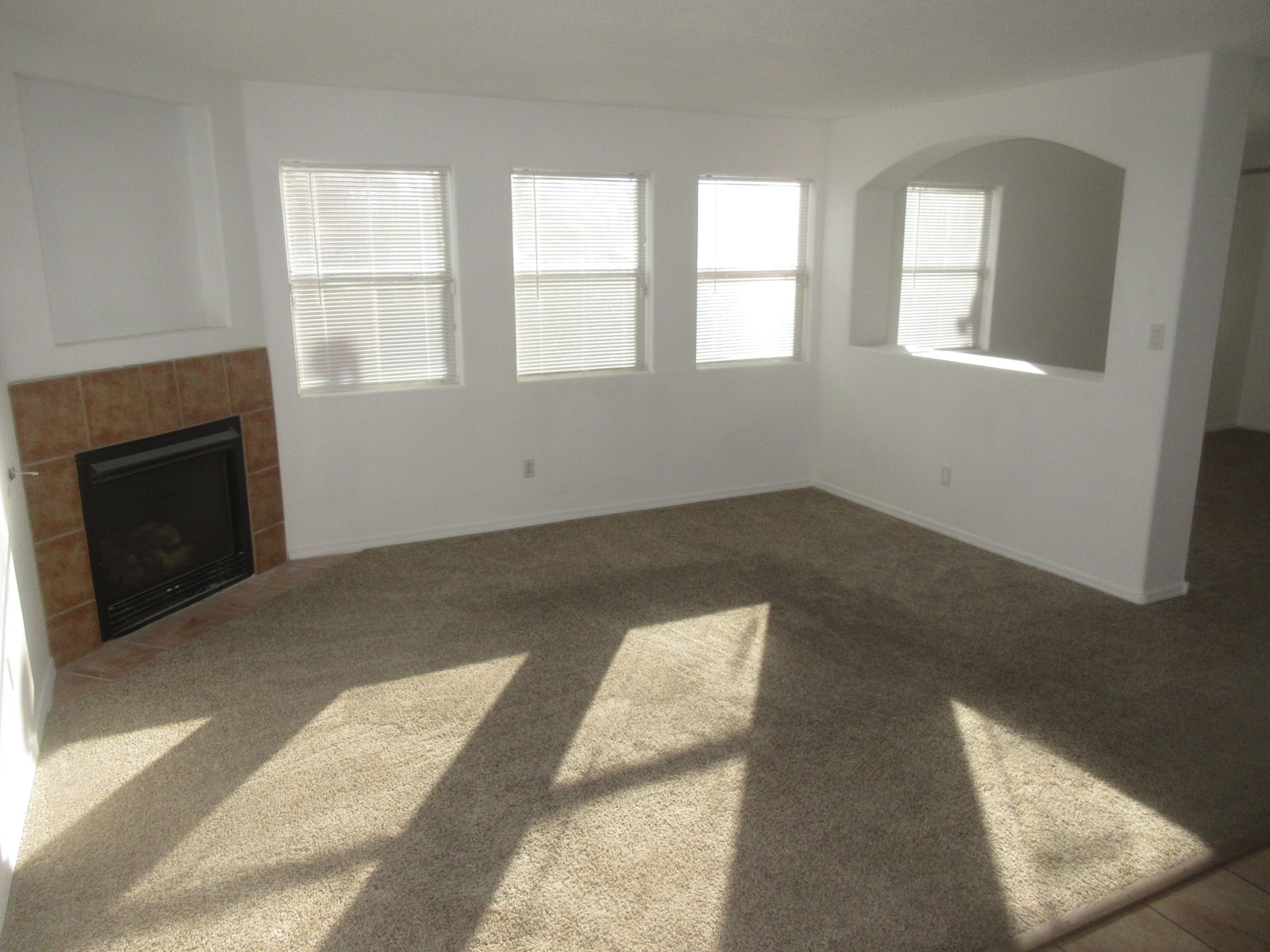 A living room with a fireplace and a lot of windows