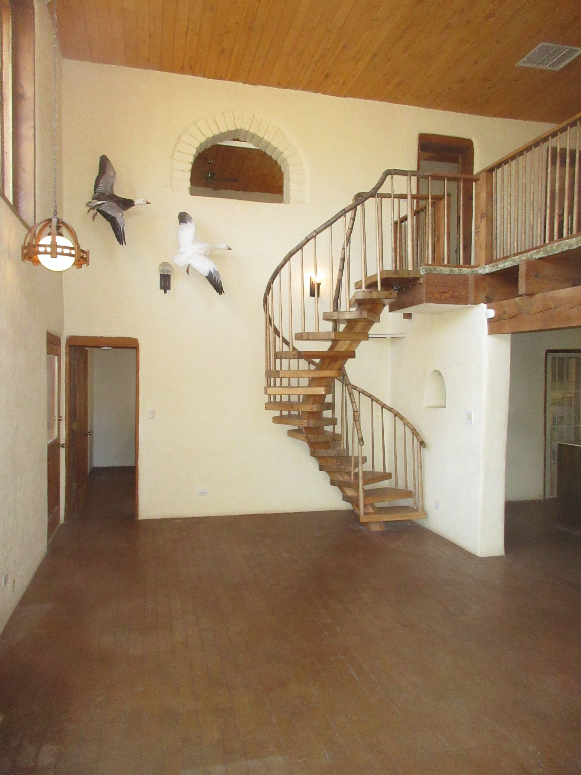 An empty room with a spiral staircase and birds on the wall