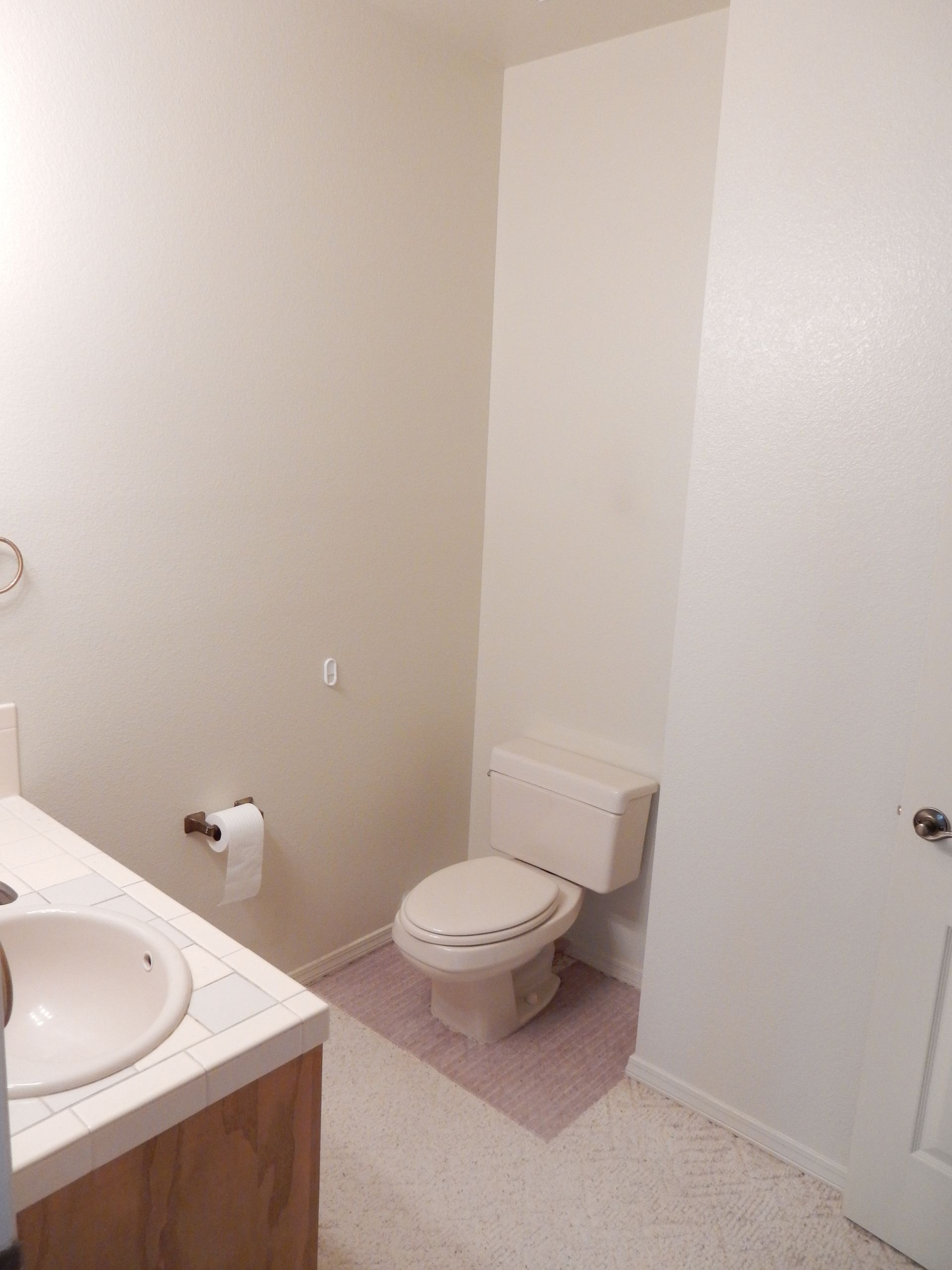 A bathroom with a toilet and a sink