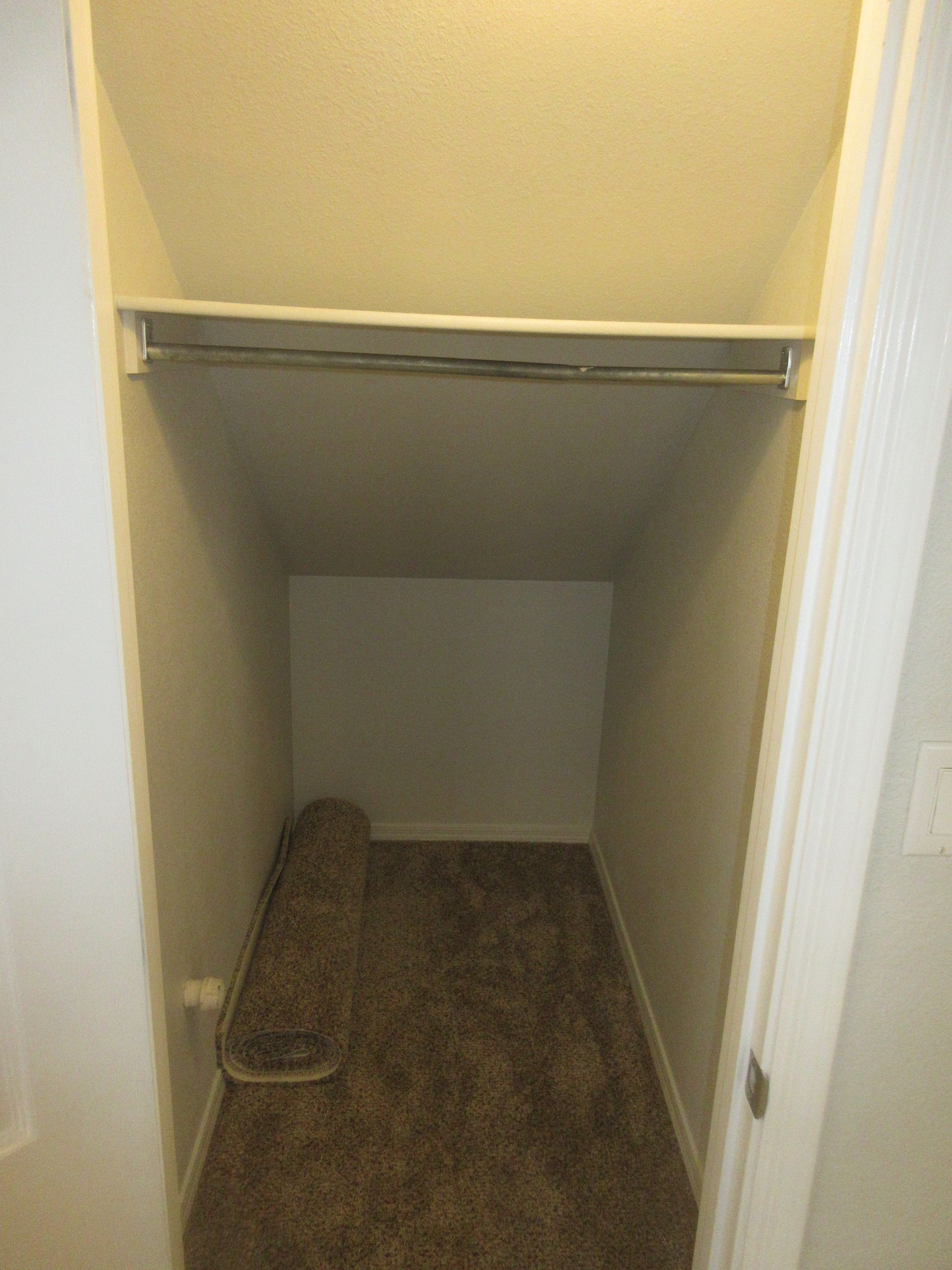 A small closet under a staircase with a rug on the floor.