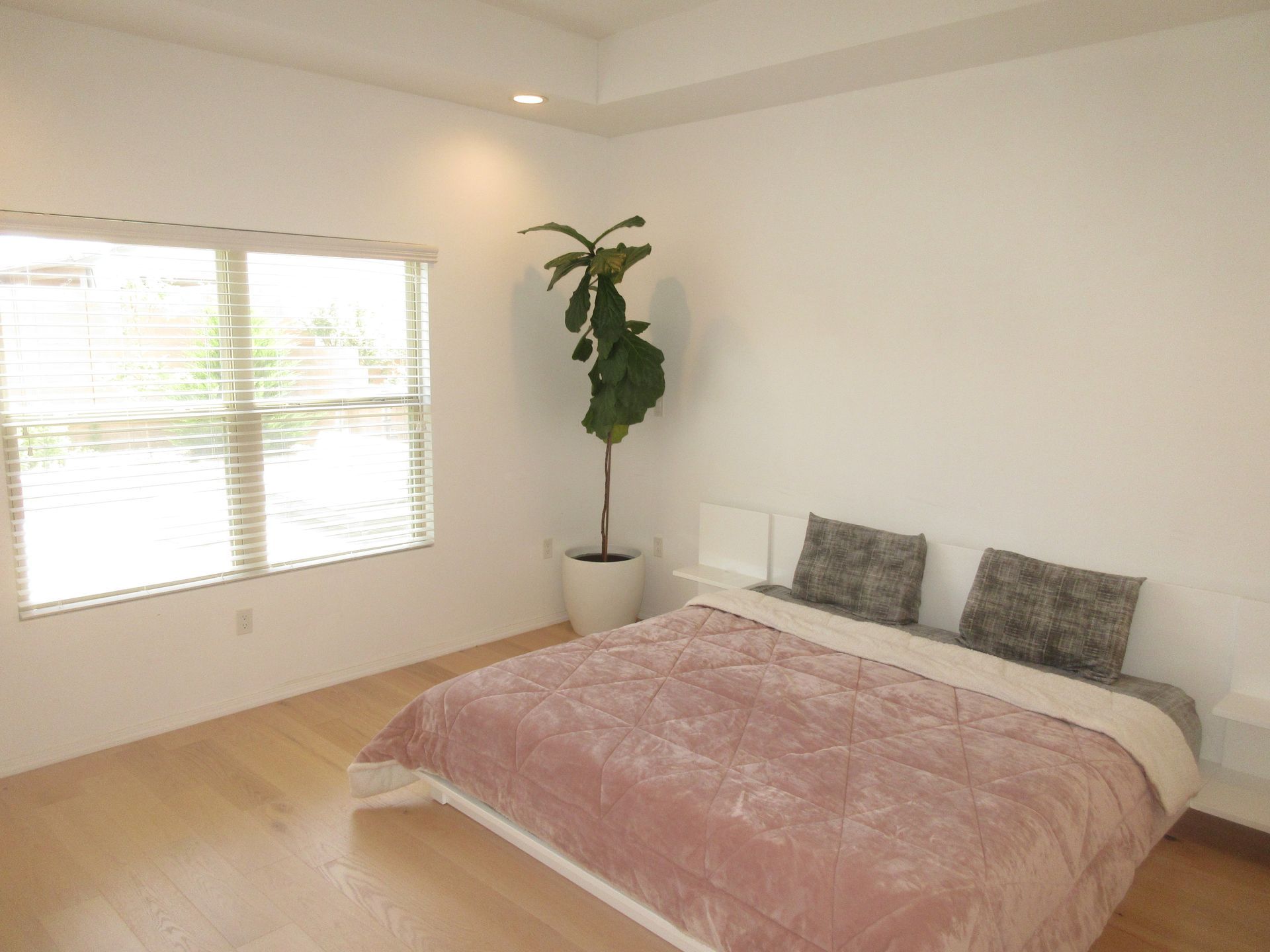 A bedroom with a bed and a plant in the corner.