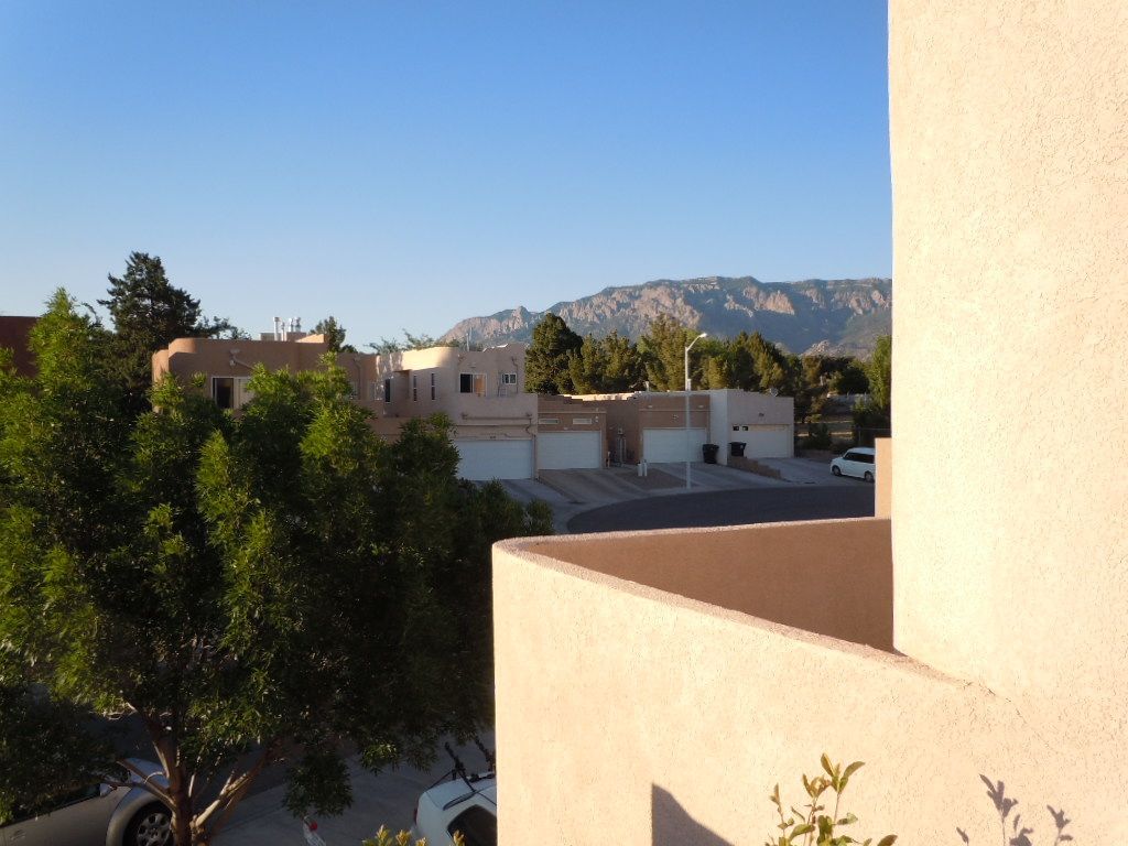 A view of a residential area with mountains in the background