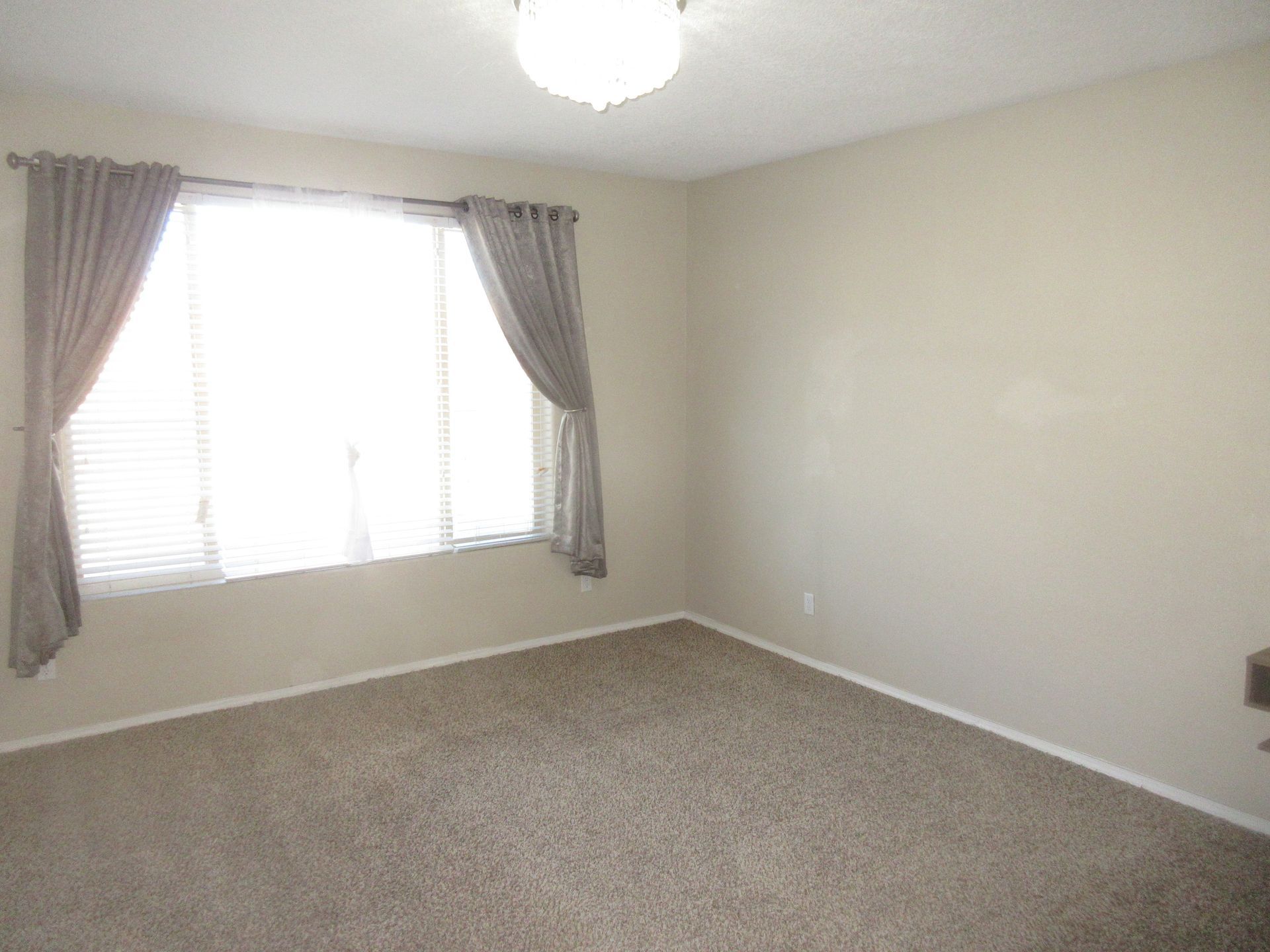 An empty bedroom with a carpeted floor and two windows.