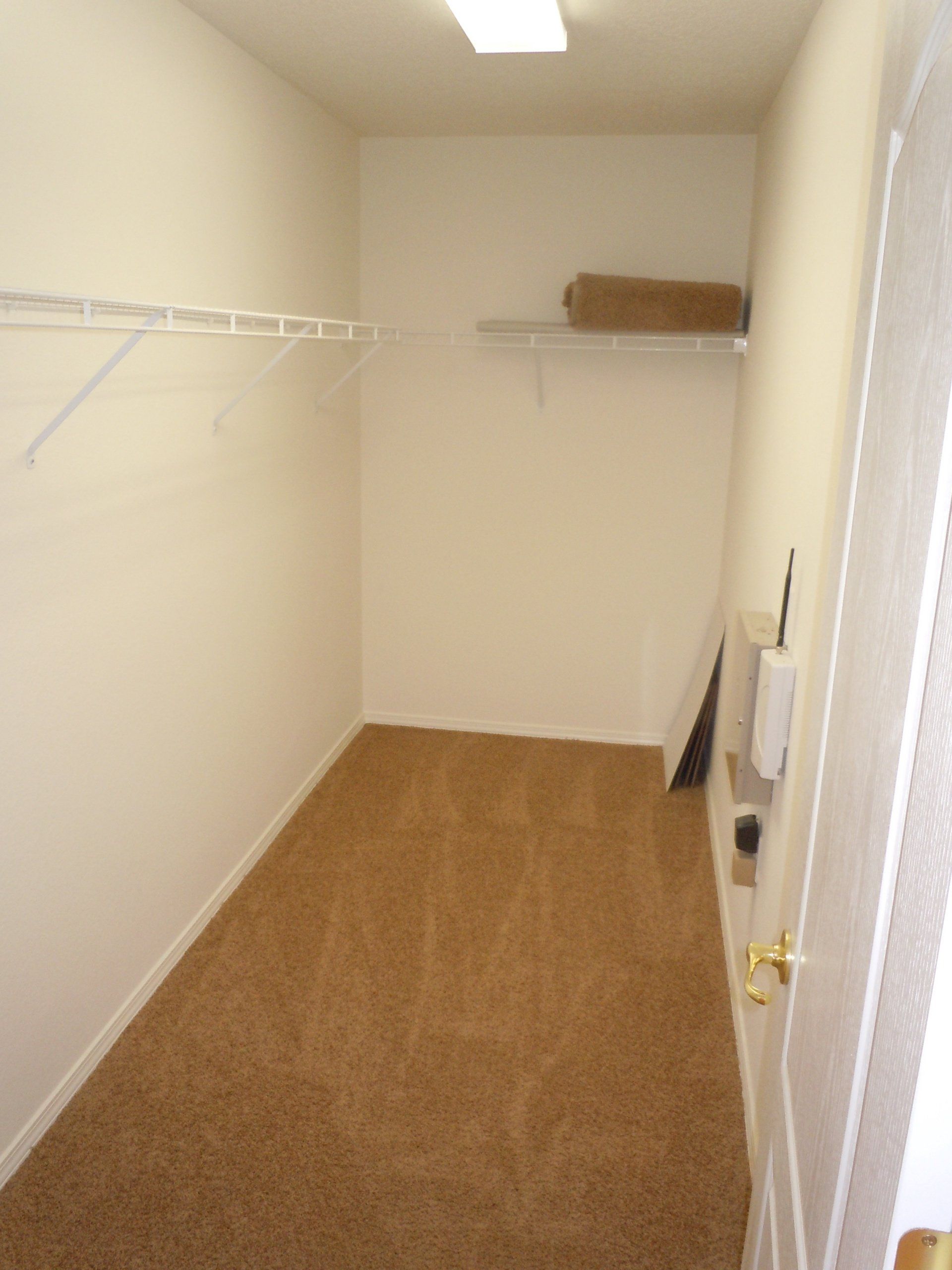 A closet with a carpeted floor and white walls
