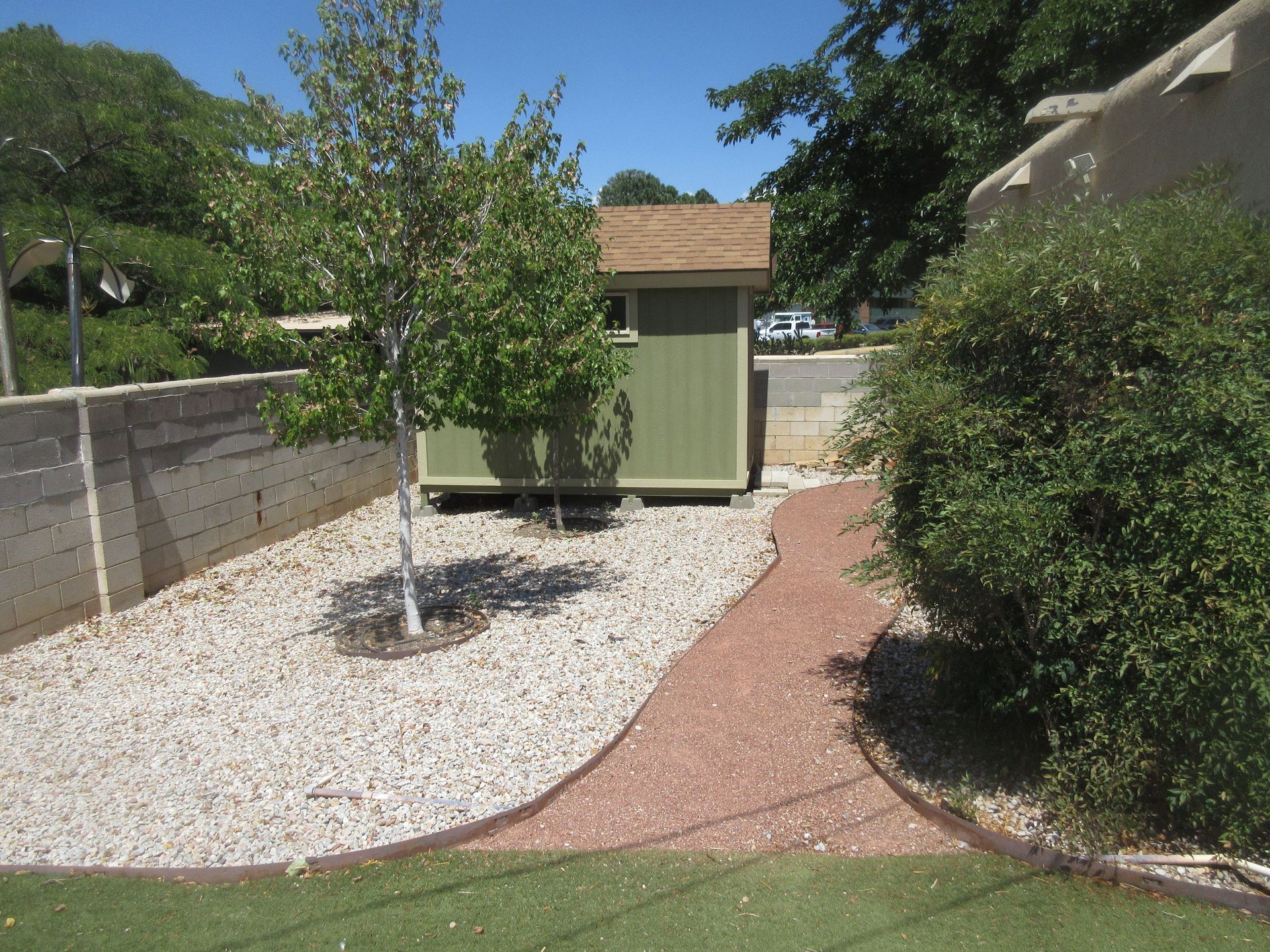 A green shed sits in the backyard next to a tree