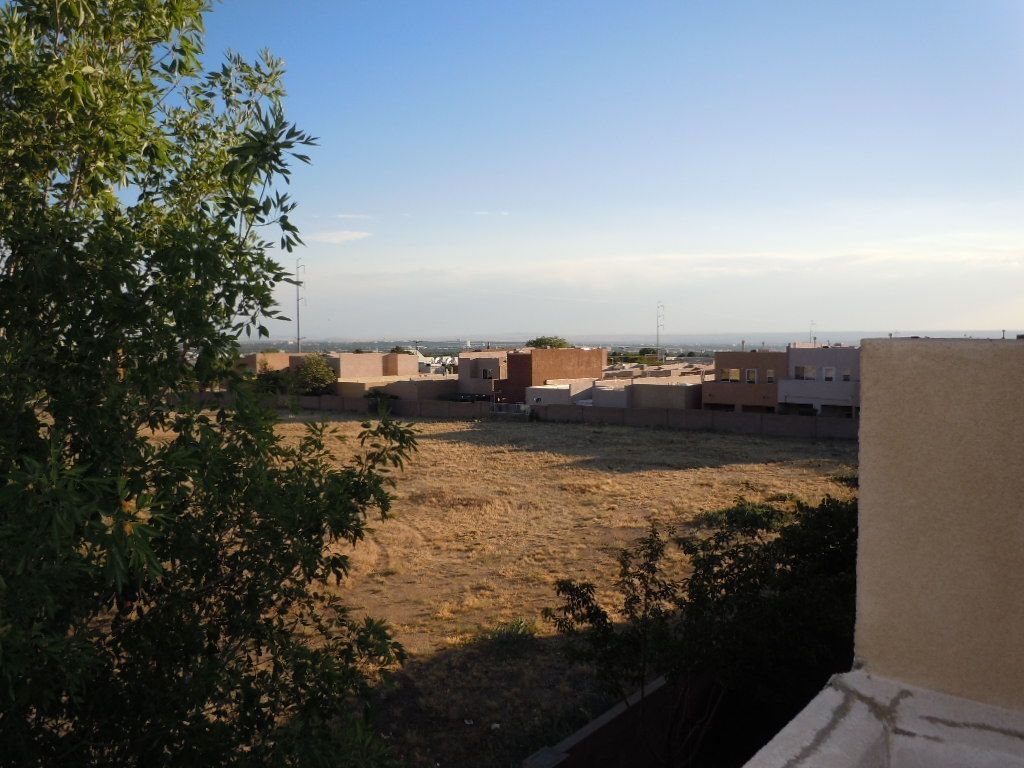 A view of a city from a balcony with a tree in the foreground