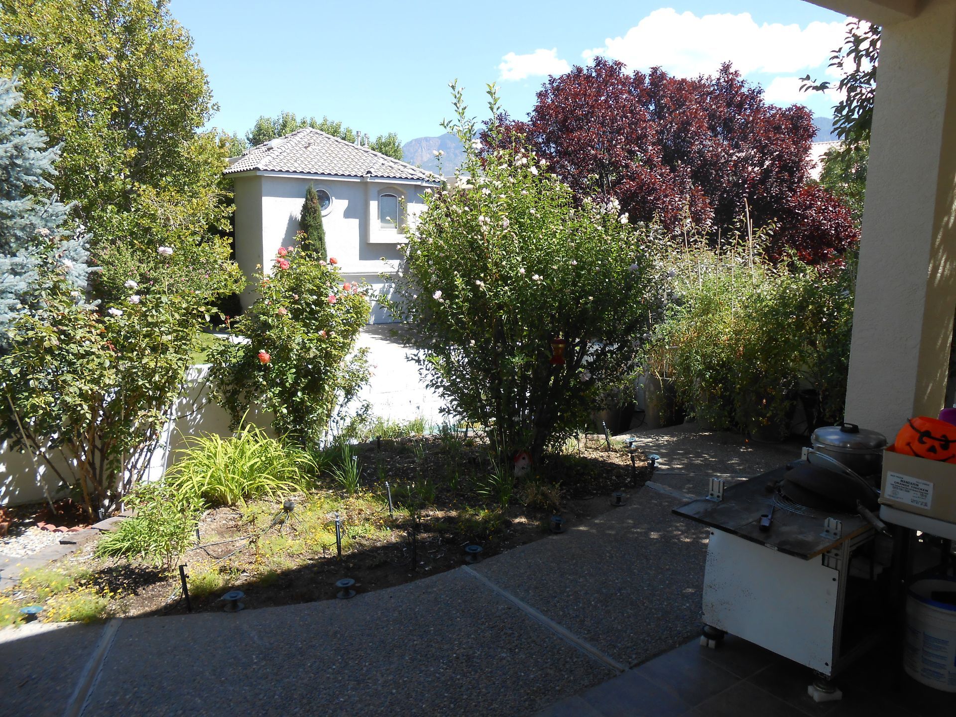 A house with a lot of trees and bushes in front of it