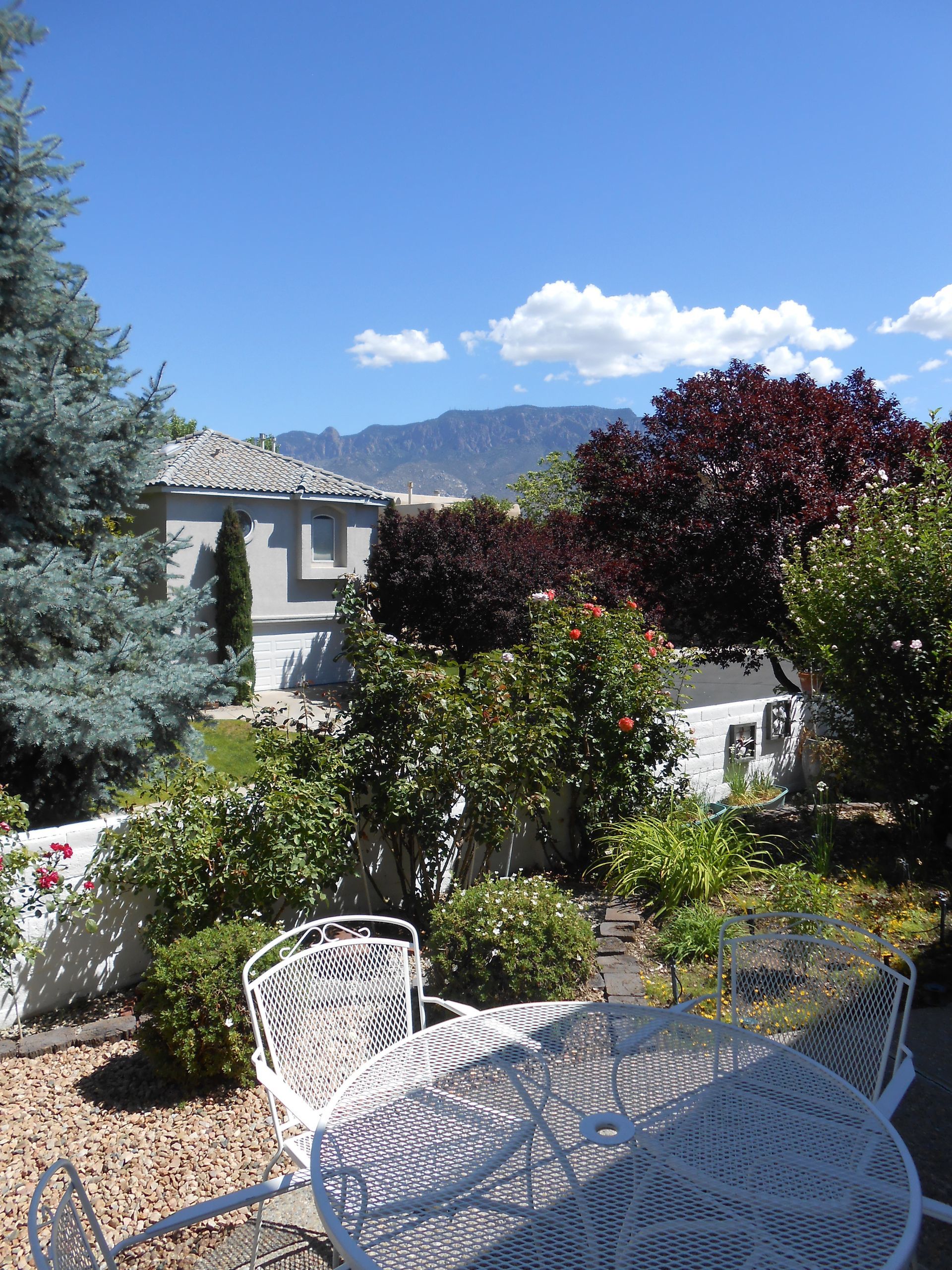 A patio with a table and chairs with mountains in the background