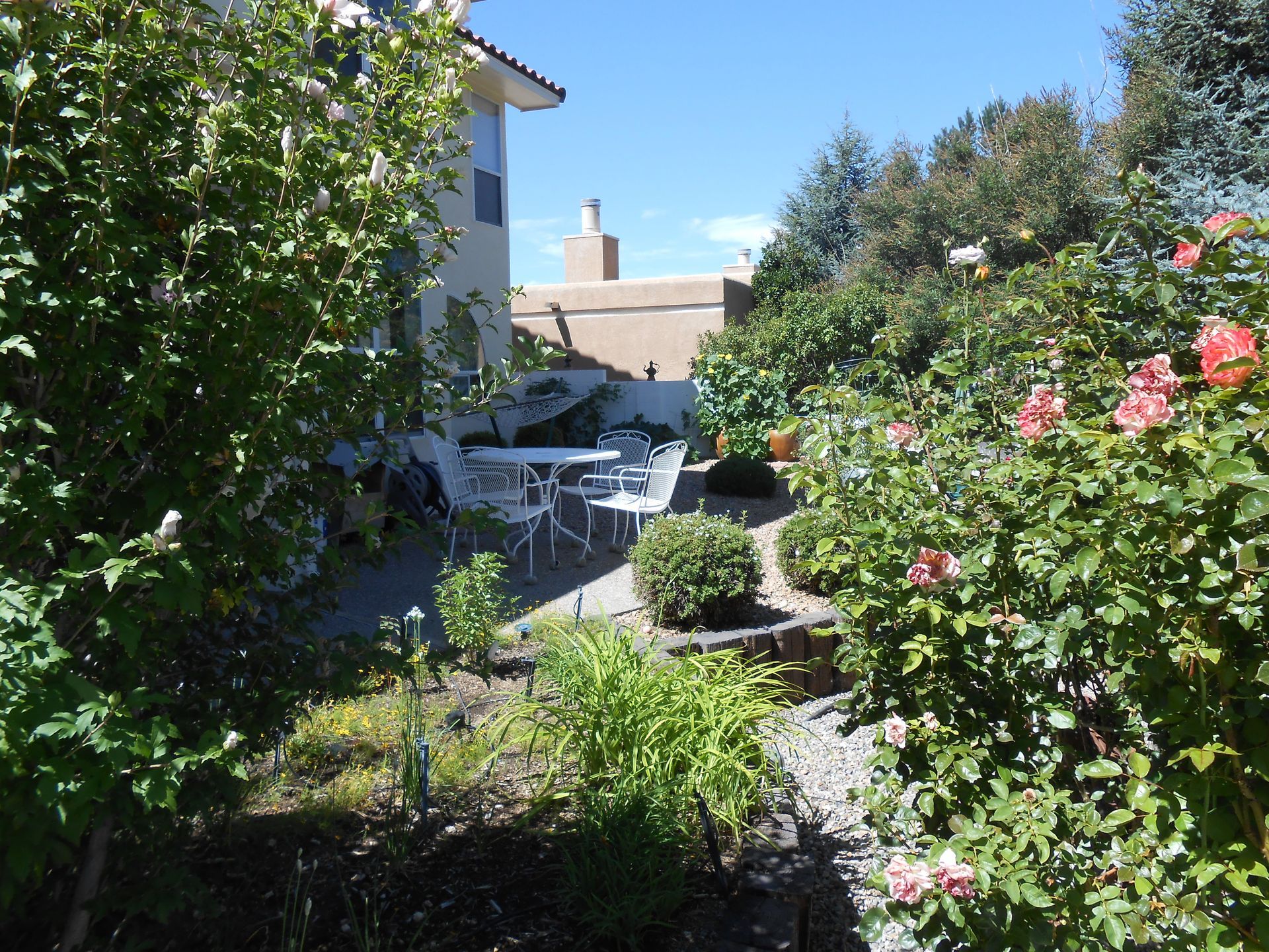 A lush green garden with a house in the background