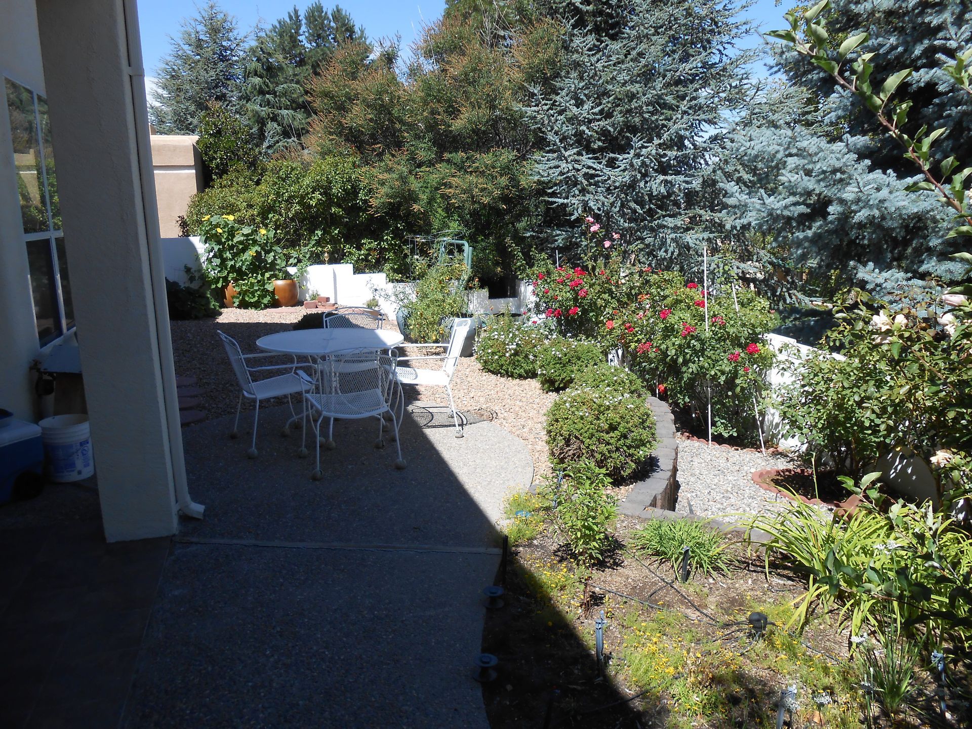 A patio with a table and chairs surrounded by trees and bushes