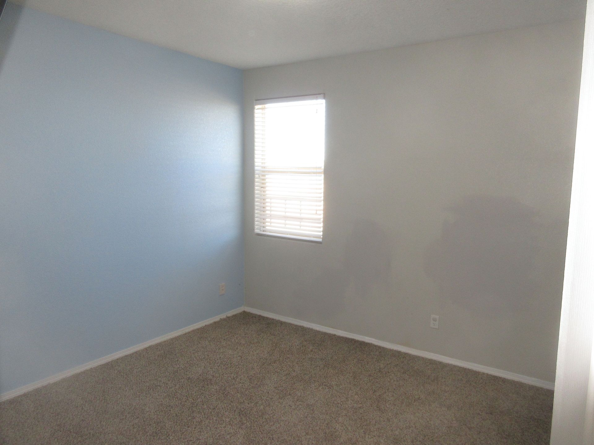 An empty bedroom with blue walls and a window.