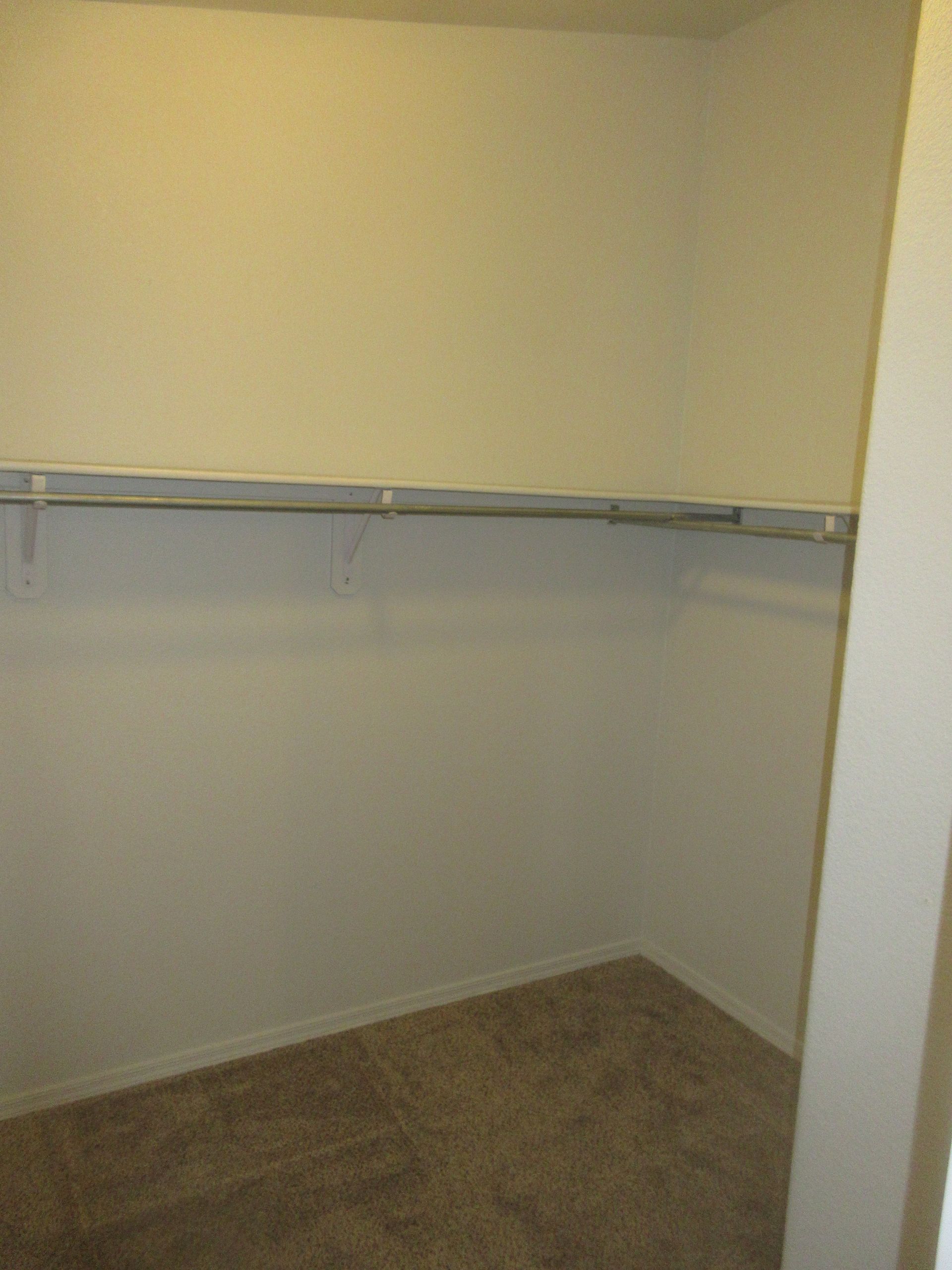 An empty walk in closet with shelves and a carpeted floor.
