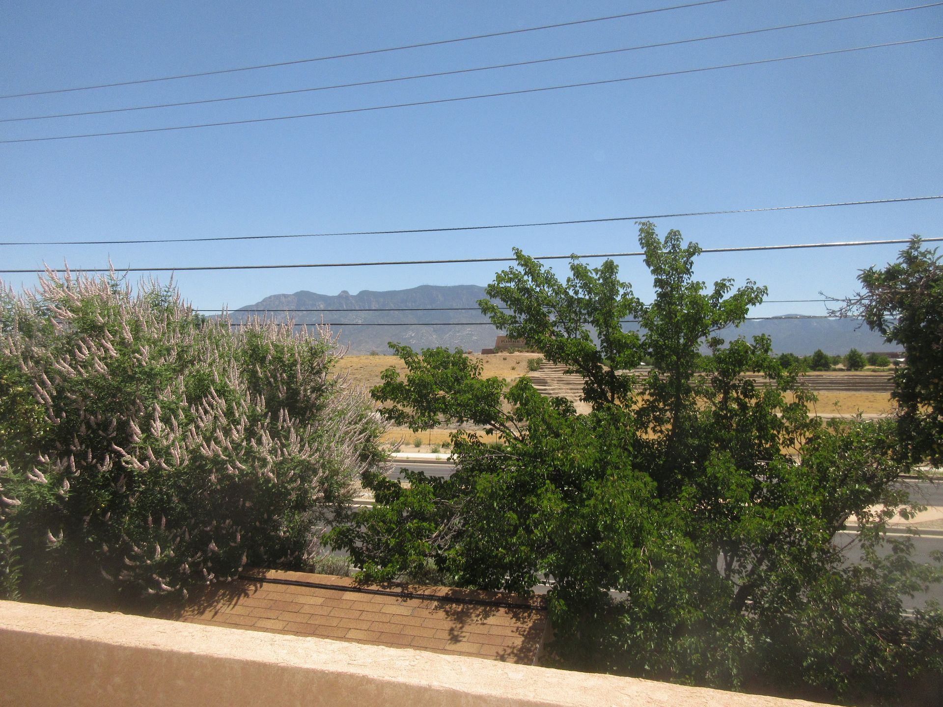 A view of trees and mountains from a balcony
