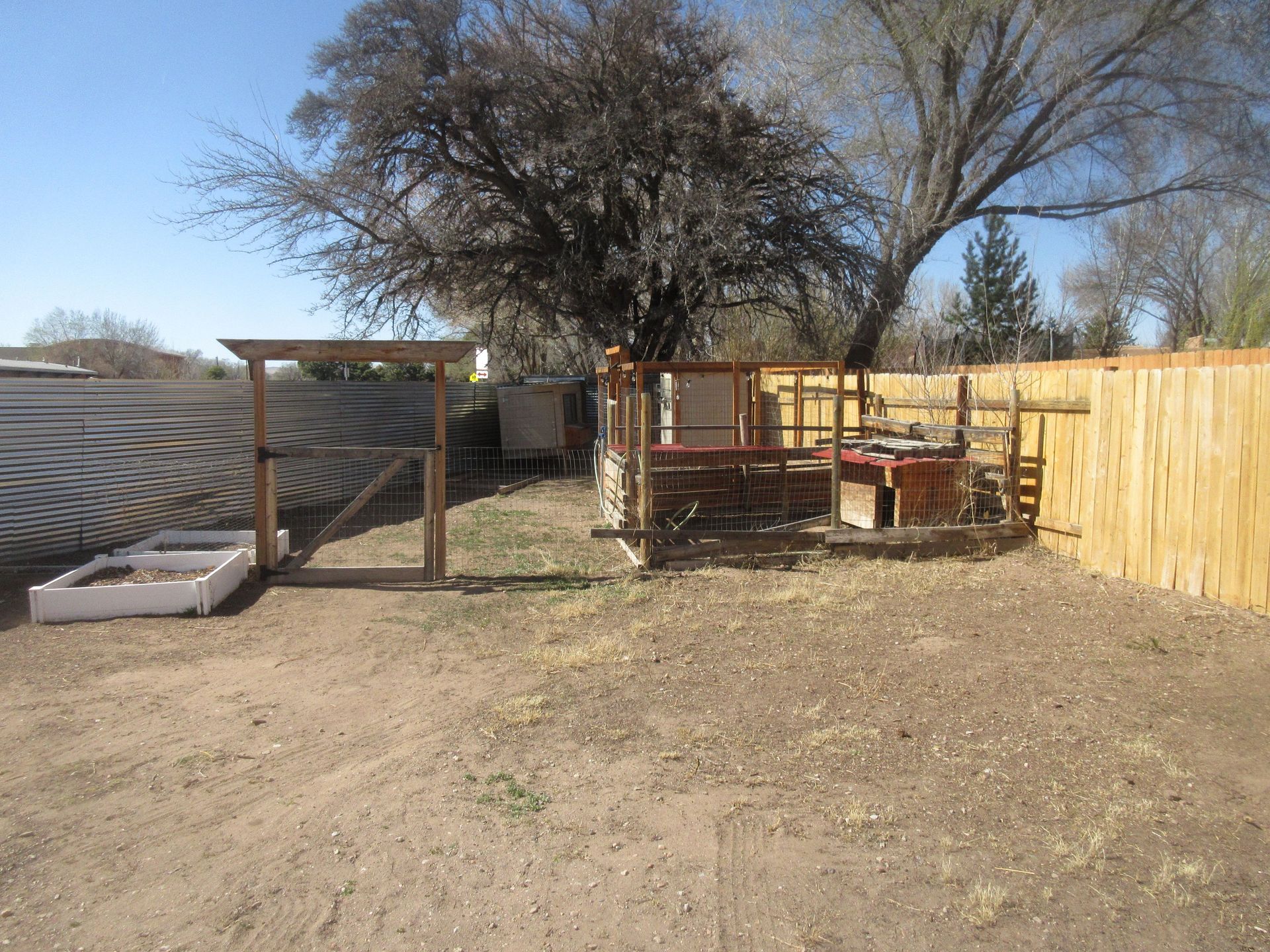 A backyard with a wooden fence and a tree