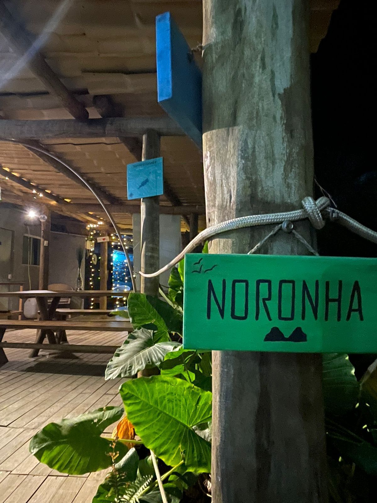 Uma grande piscina cercada por árvores e plantas em frente a um edifício.