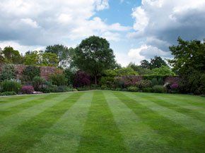  A beautiful well maintained lawn with well-kept trees and shrubs. 