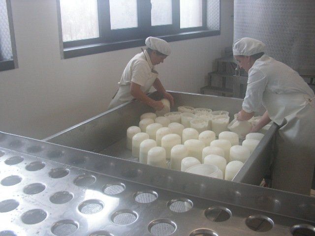Preparazione del formaggio