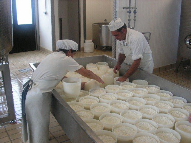 Preparazione formaggio 3