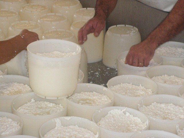 Preparazione formaggio 2