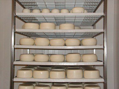 Formaggio su scaffali