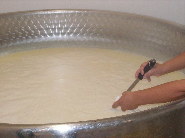 Fase di lavorazione ricotta 3