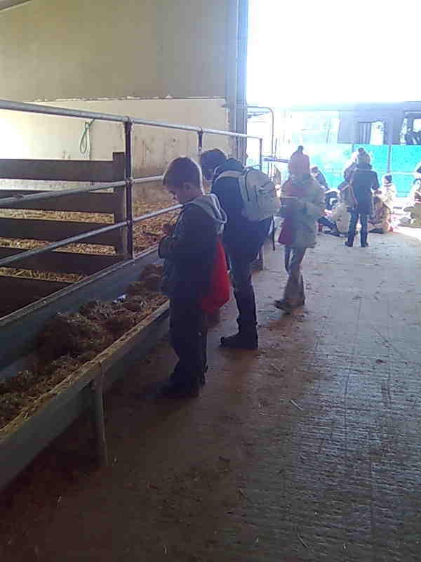 Bambini in visita guidata 8