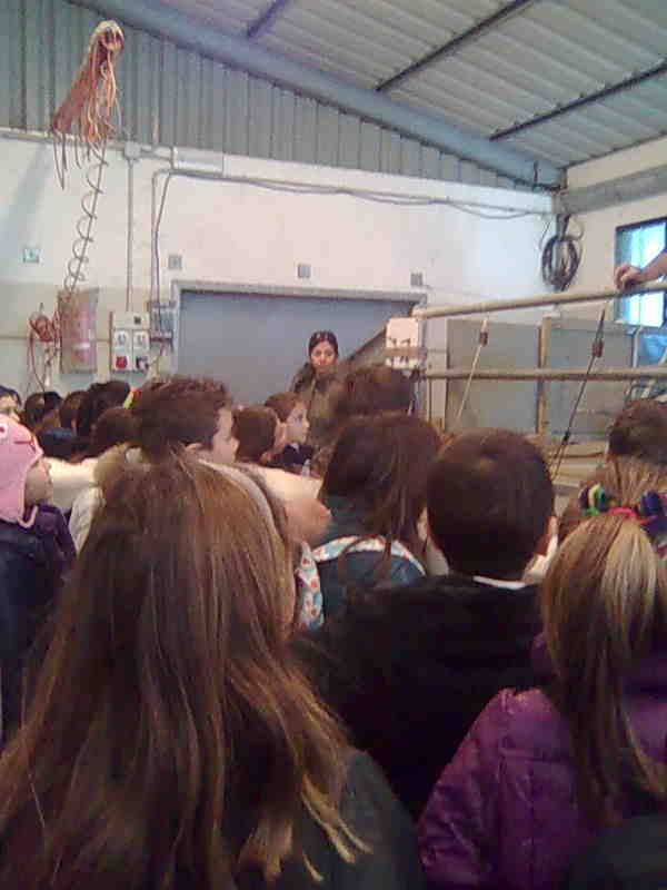 Bambini in visita guidata 5