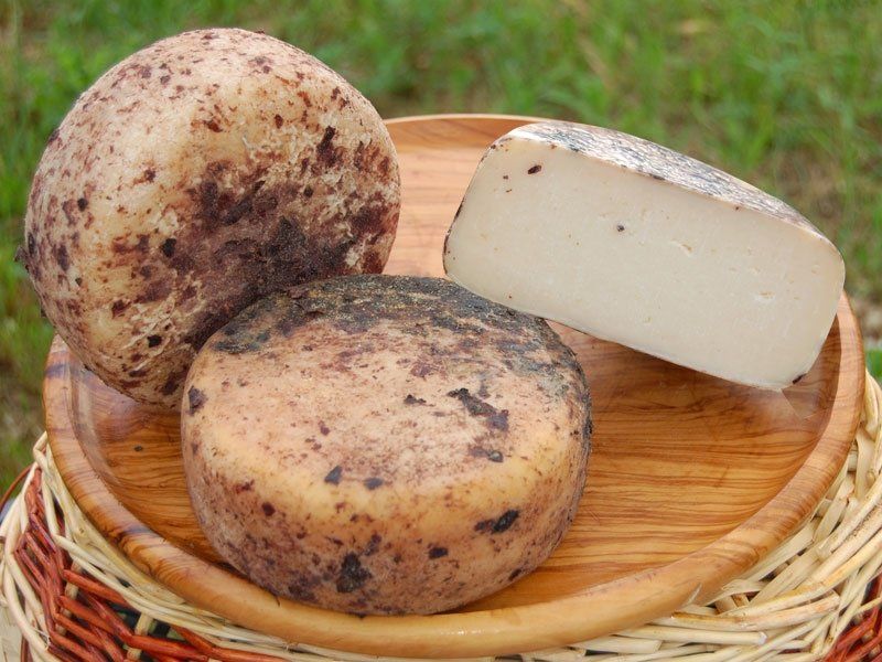 Forme di pecorino 3
